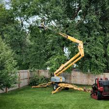 Best Seasonal Cleanup (Spring/Fall)  in Ramapo College Of New Jersey, NJ
