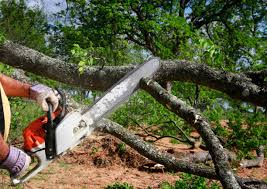 Best Soil Testing and Treatment  in Ramapo College Of New Jersey, NJ