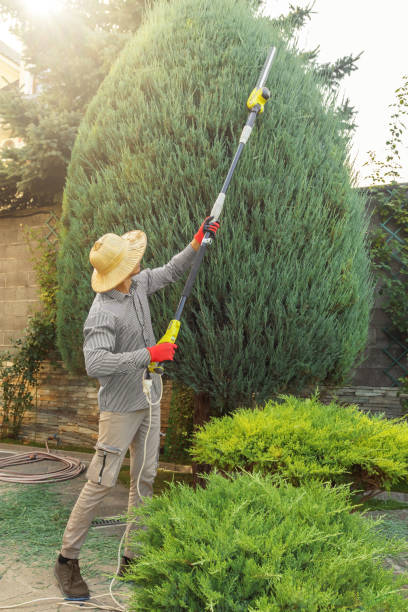 Lawn Watering Services in Ramapo College Of New Jersey, NJ